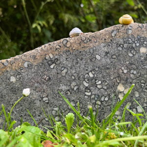 Burngate Purbeck Stone Centre | Surprising Snails Snails